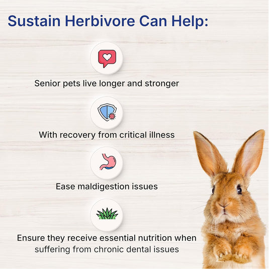 EmerAid Sustain Herbivore - Mint 100g