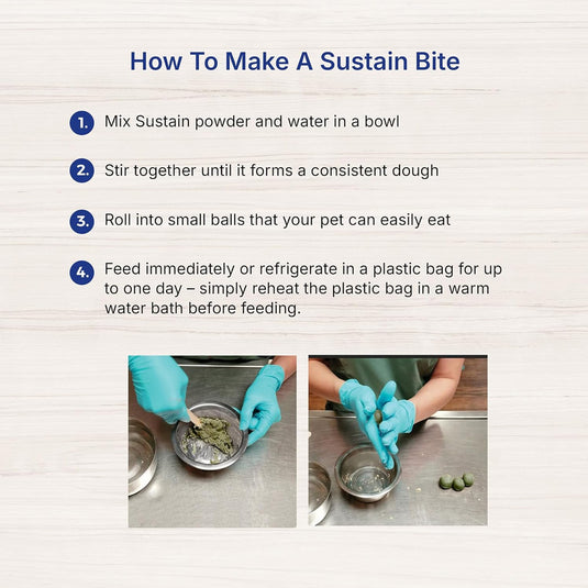 EmerAid Sustain Herbivore - Mint 100g