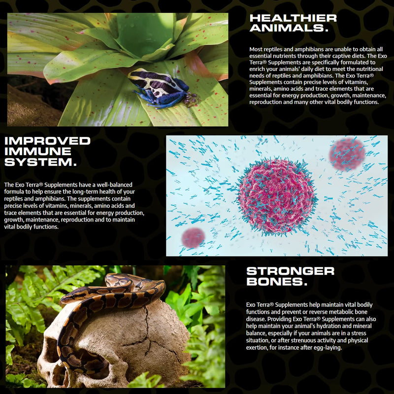 Load image into Gallery viewer, Reptile Multi Vitamin Powder Supplement
