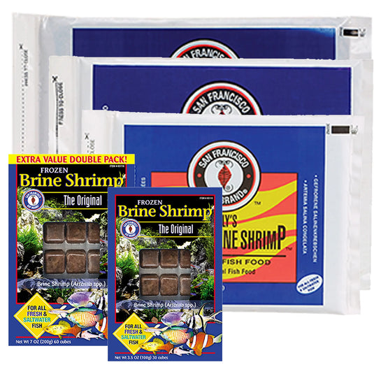 Sally's Frozen Brine Shrimp Fish Food