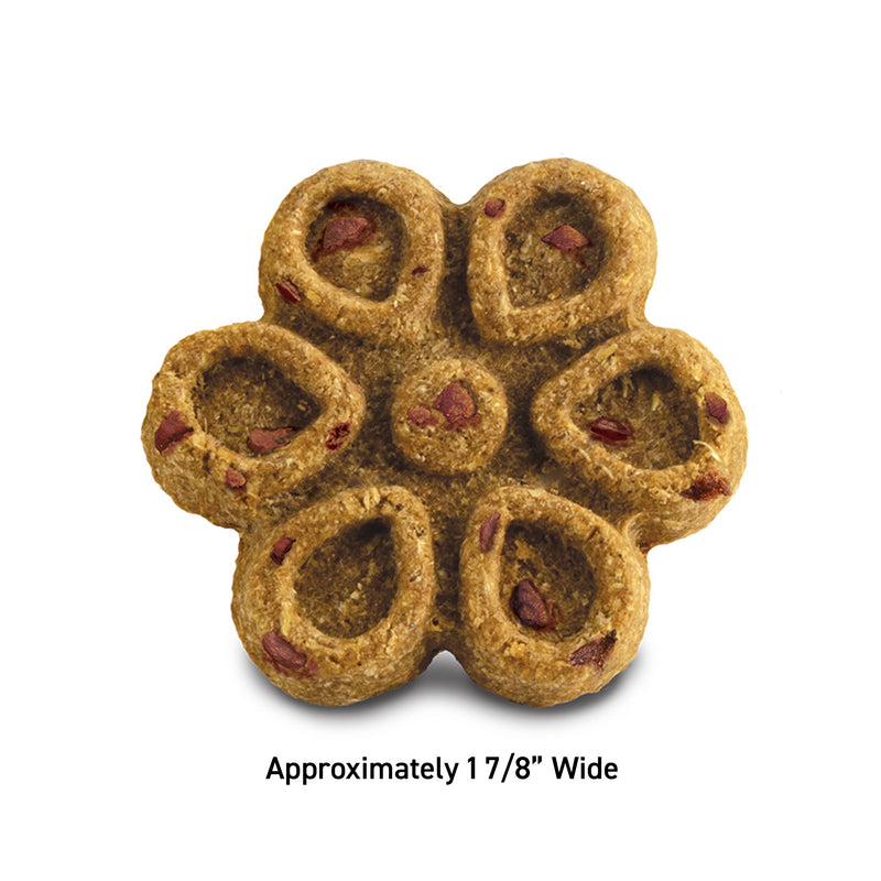 Fruitables Biggies Crispy Bacon Apple Flavour Dog Treat 16 oz