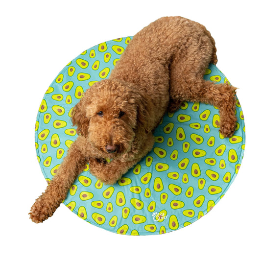 GF Pet Ice Mat Round