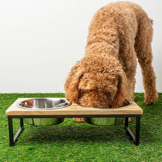 GF Pet Wood & Metal Double Diner