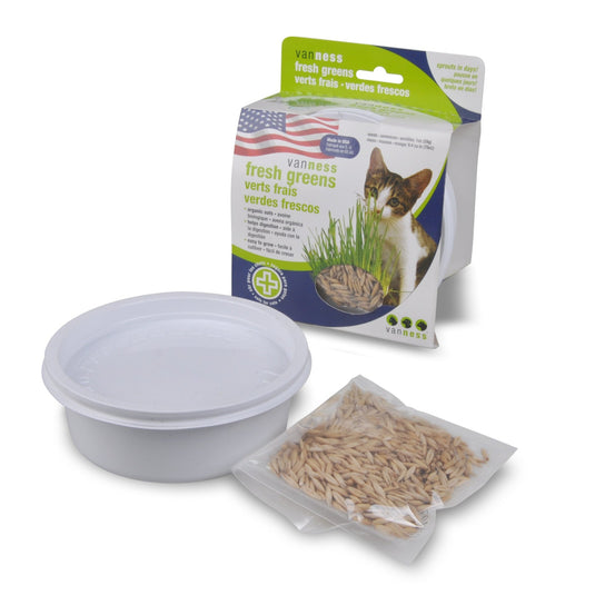Van Ness Cat Oat Garden Kit