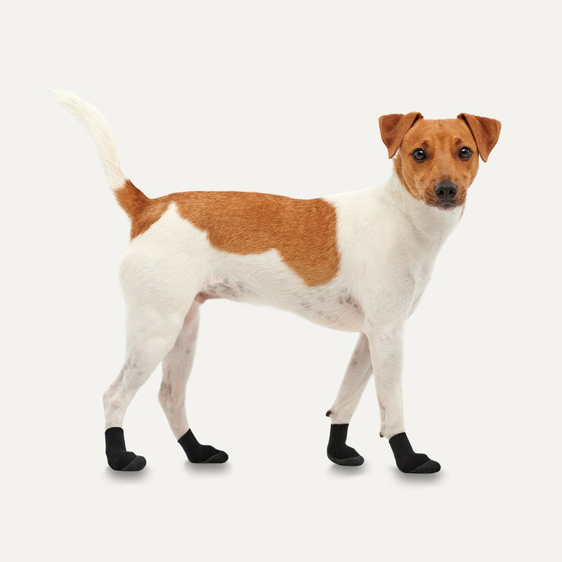 LITES All Season Dog Boots - Extra Small
