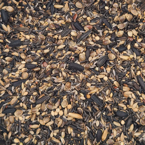 Close-up of a mix of seeds and grains including black and brown varieties.