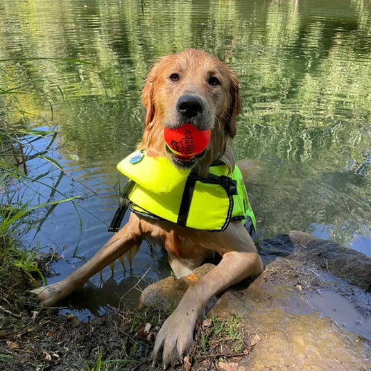 Spunky Pup Flash & Glow Ball Dog Toy - Large