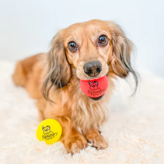 Spunky Pup Flash & Glow Ball Dog Toy - Small, 2 Pack