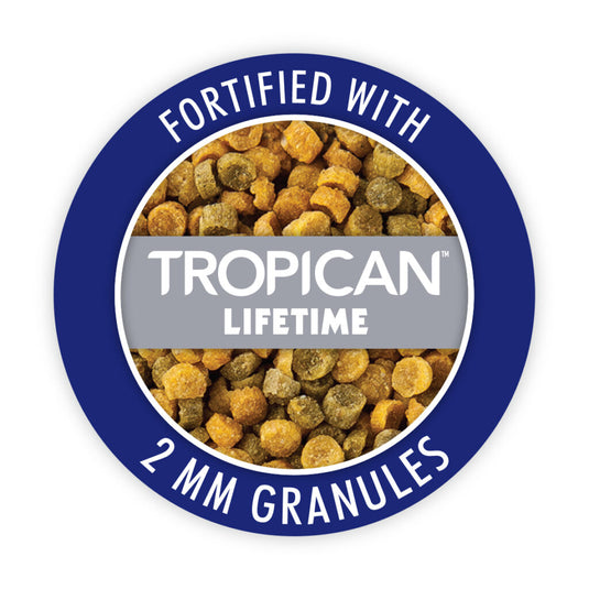 Gourmet Premium Seed Mix - Finch 🍁