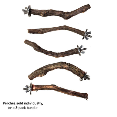 Assorted Natural Bird Grapevine Wood Perches - Single Branch 🍁