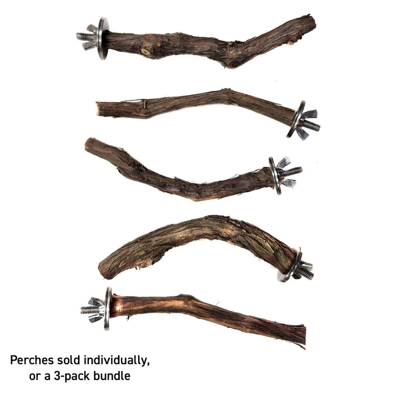Assorted Natural Bird Grapevine Wood Perches - Single Branch 🍁
