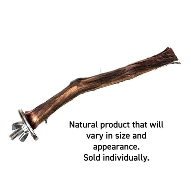 Assorted Natural Bird Grapevine Wood Perches - Single Perch 🍁
