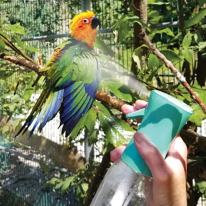 Load image into Gallery viewer, Colorful parrot being sprayed with a teal hari feather mister bottle in a natural setting
