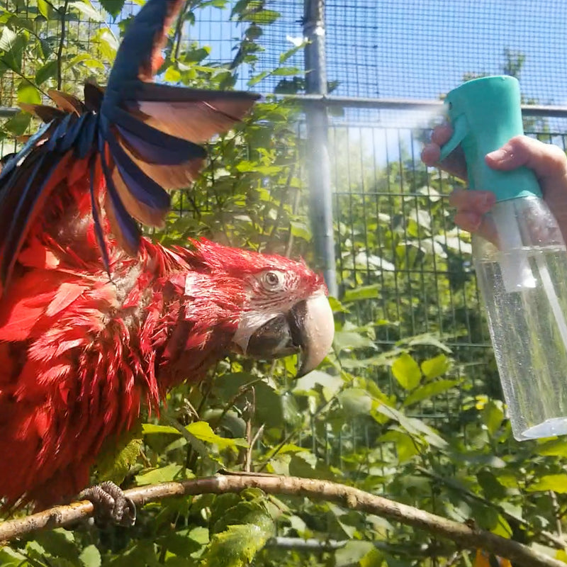 Load image into Gallery viewer, Red parrot being sprayed with water by a person in a natural setting
