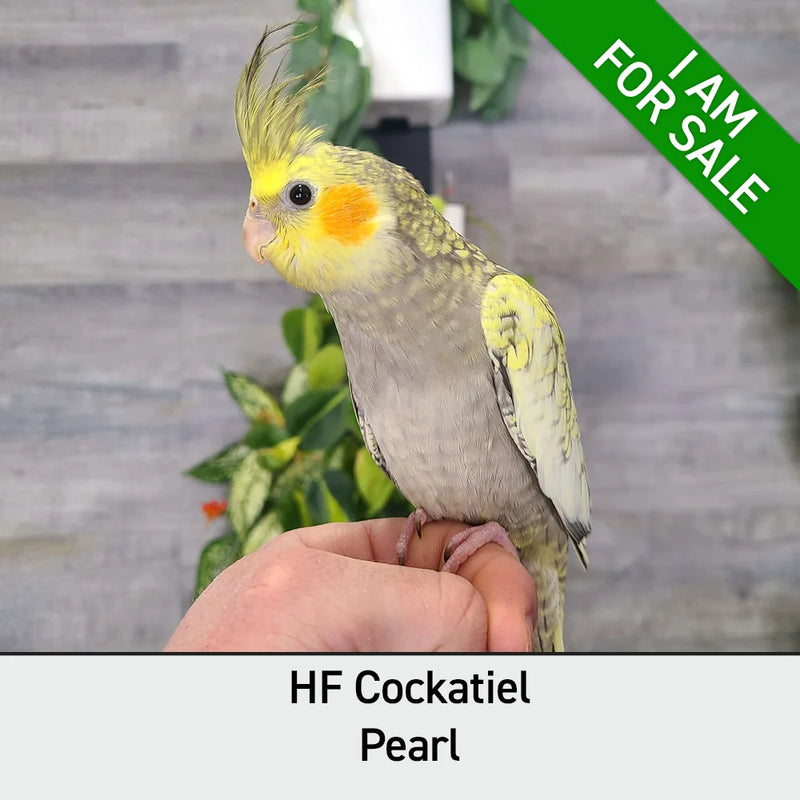 Load image into Gallery viewer, #Mutation_Pearl
