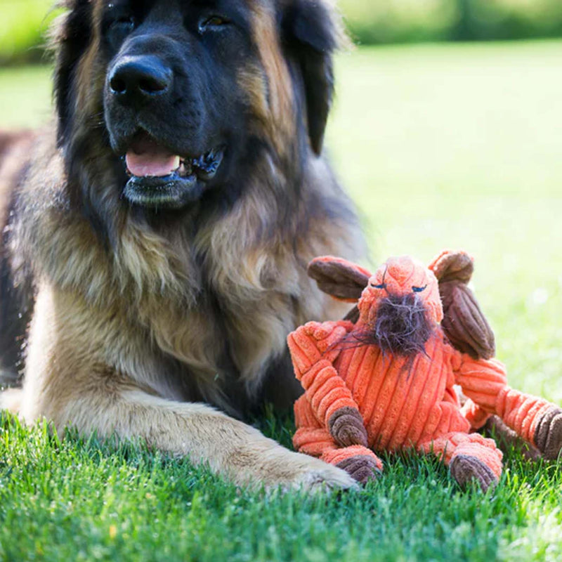 Huggle Hounds Knotties Morris Moose Small
