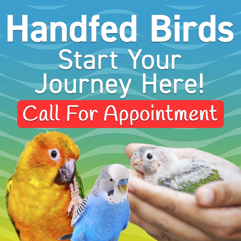 Avian clearance specialty stores