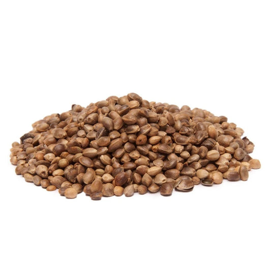 Harmony Hemp Seed (Unsterilized) - 1 kg