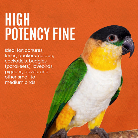 Harrison's High Potency Fine Parrot Crumble