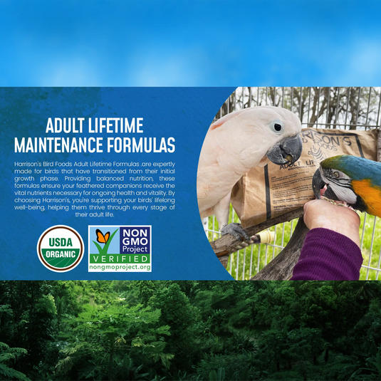 Advertisement for Harrison's Bird Foods with two parrots on a branch against a blue background.