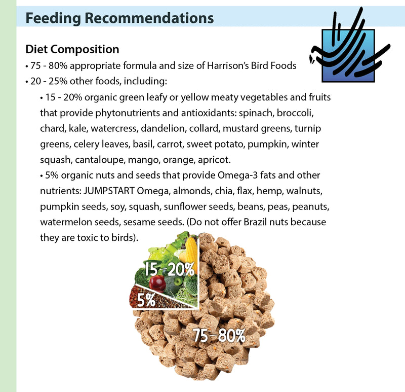 Load image into Gallery viewer, Feeding recommendations for bird food with a pile of bird food and a diagram of a bird.
