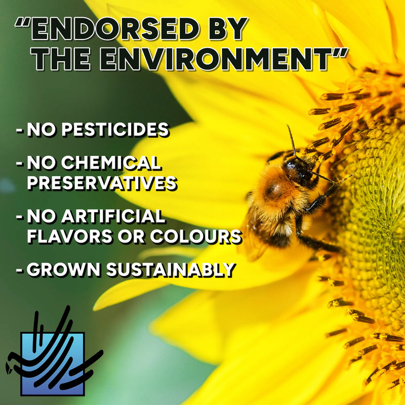Load image into Gallery viewer, Sunflower with a bee and sustainability text overlay: "No Pesticides, No Chemical Preservatives, No Artificial flavours or colours, grown sustainably"
