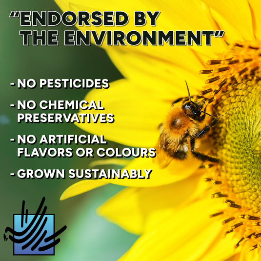 Sunflower with a bee and sustainability text overlay: "No Pesticides, No Chemical Preservatives, No Artificial flavours or colours, grown sustainably"