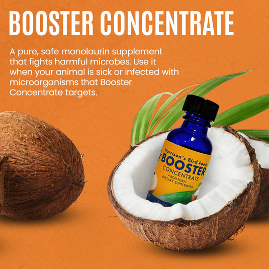 Harrison's Booster Concentrate Antimicrobial Dietary Supplement - 1 oz (28 g)