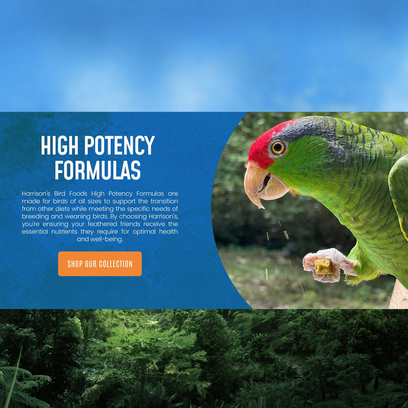 Load image into Gallery viewer, Harrison's High Potency Fine Parrot Crumble
