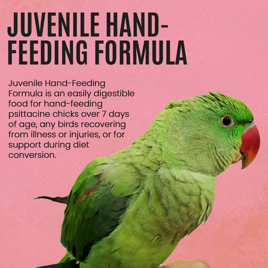 Harrison’s Juvenile Hand Feeding Formula - 1 lb