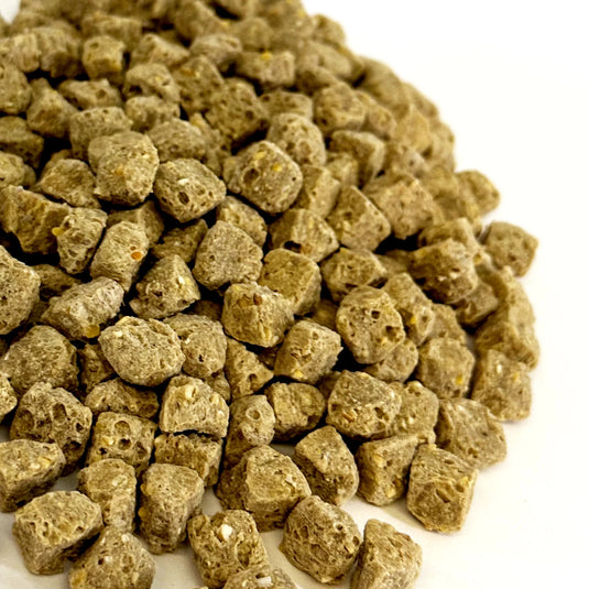 Harrison's Adult Lifetime Coarse Parrot Pellet