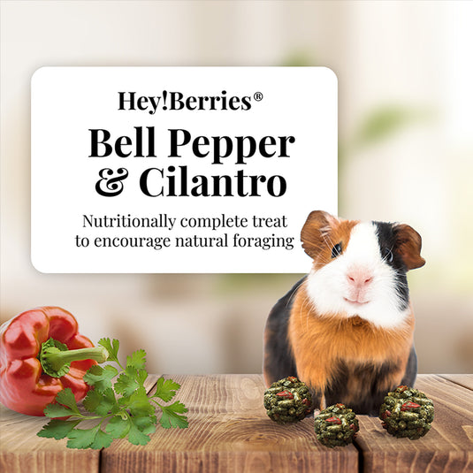 Hey! Berries for Guinea Pigs - Bell Pepper & Cilantro 5 oz
