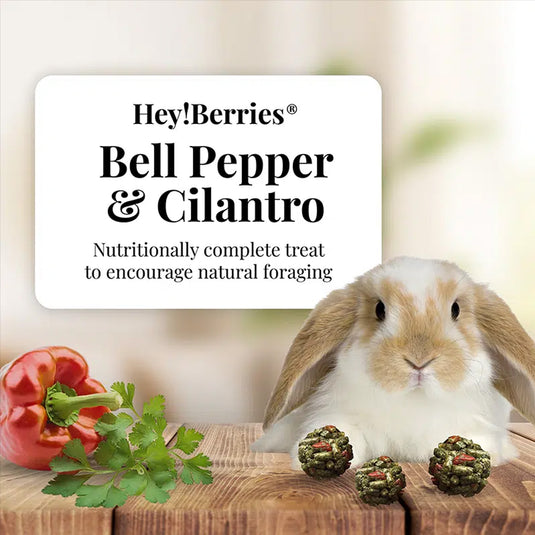 Hey! Berries for Rabbits - Bell Pepper & Cilantro 5 oz