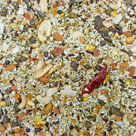 Higgins Mayan Harvest Tikal Seed Mix