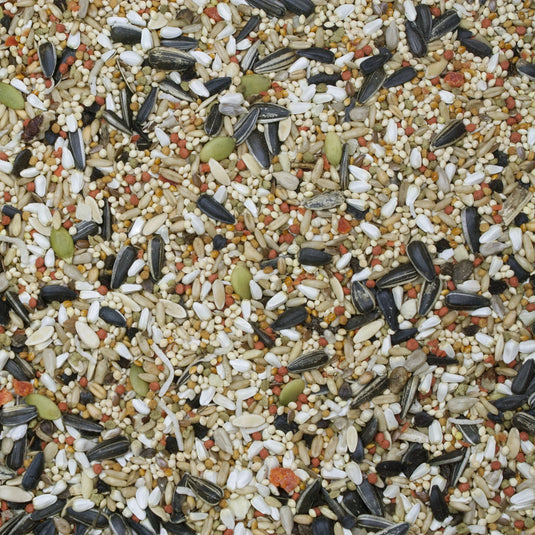 Higgins Sunburst Gourmet Blend Cockatiel Seed Mix