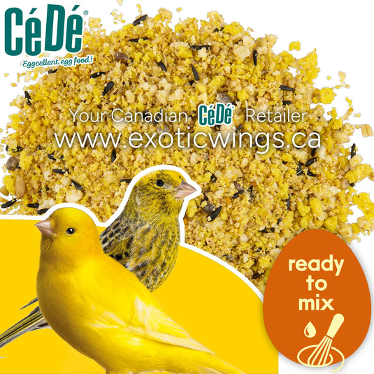 CéDé Premium Dry Eggfood for Canaries