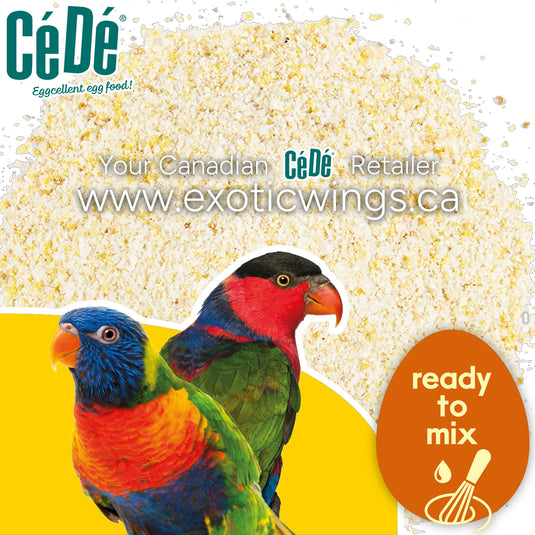 CéDé Premium Lory Food