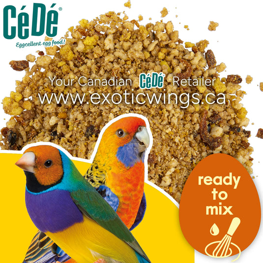 CéDé Protein Mix Supplement for All Birds