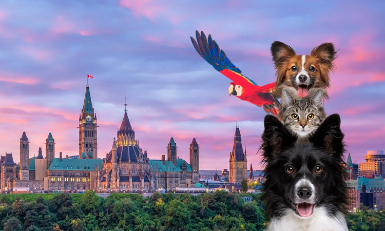 Ottawa Pet Expo - Nov 1st & 2nd