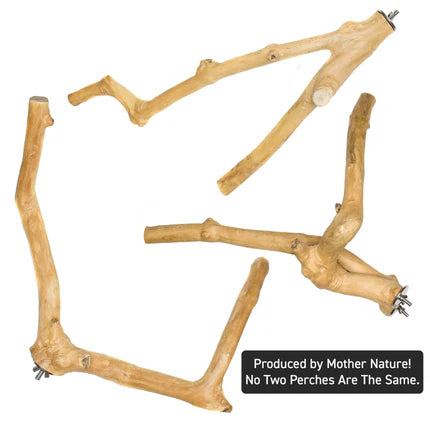 Java Multi-Branch Coffee Wood Parrot Perch - IMPERFECT
