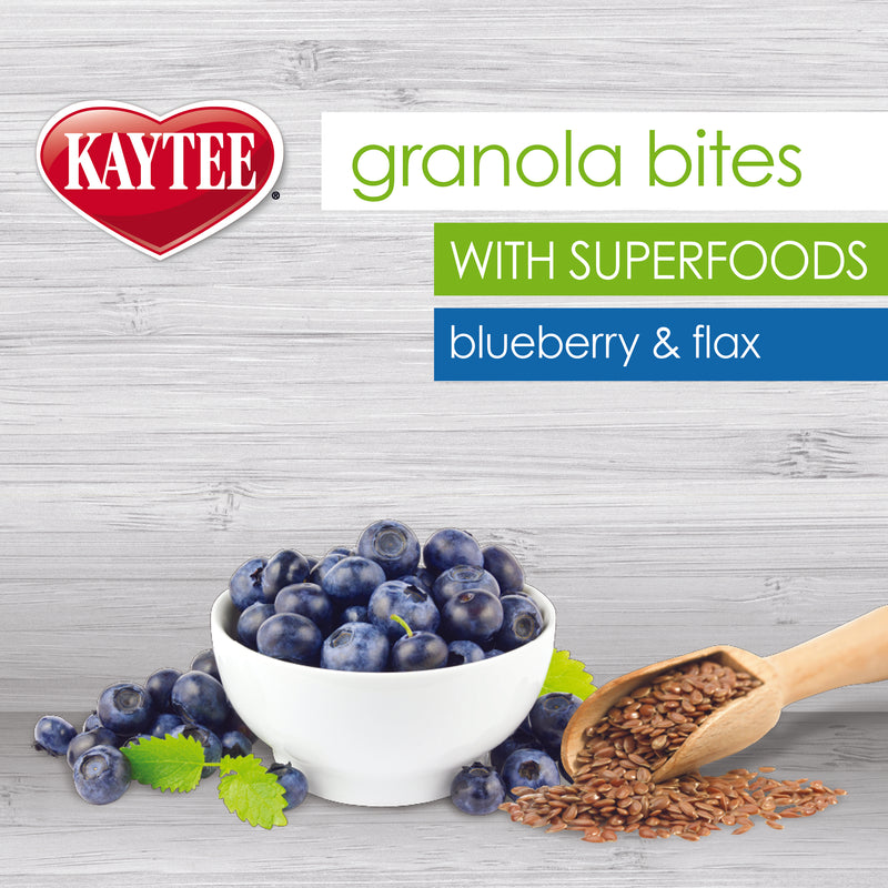Kaytee Superfood Granola Bites Bird Treat with Blueberry & Flax - 4.5 oz EXP 10/2024