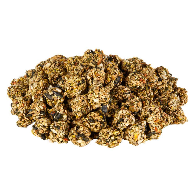 Kaytee Superfood Granola Bites Bird Treat with Spinach & Kale - 4.5 oz
