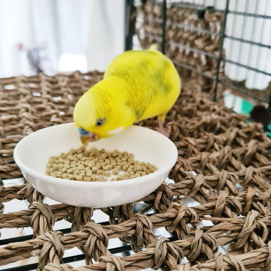 Harrison's Adult Lifetime Fine Bird Pellet