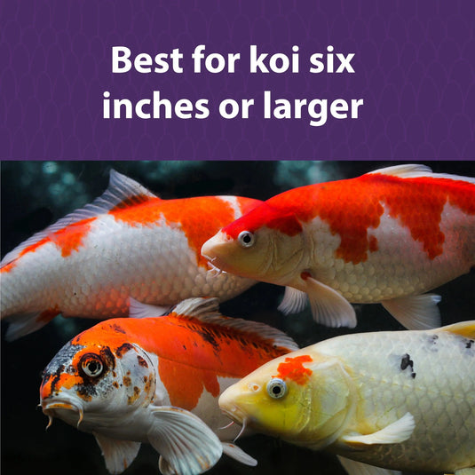 Mazuri Koi Platinum Nuggets Floating Diet