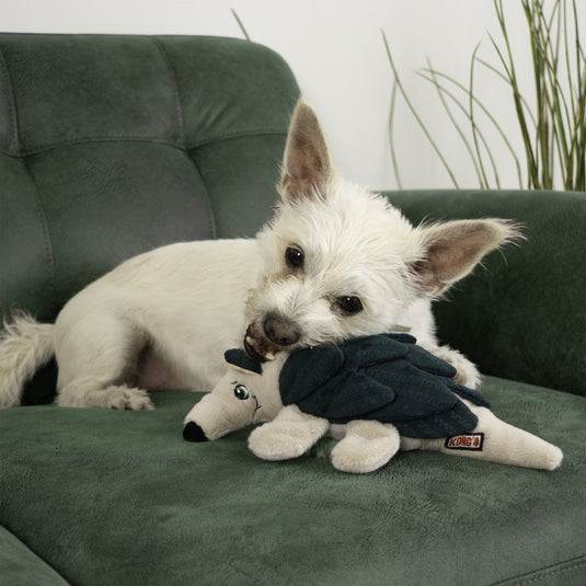 Layerz Forage Armadillo Dog Toy