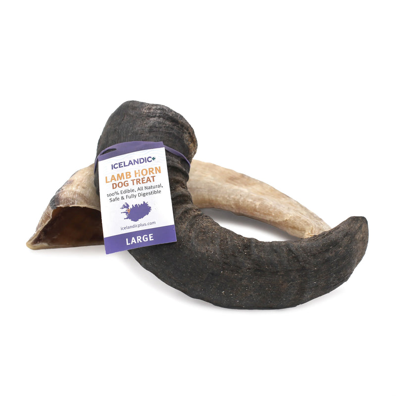 Icelandic+ Lamb Horn Dog Treat
