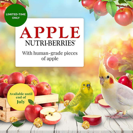 Lafeber's LIMITED EDITION Apple Nutri-Berries for Small Birds