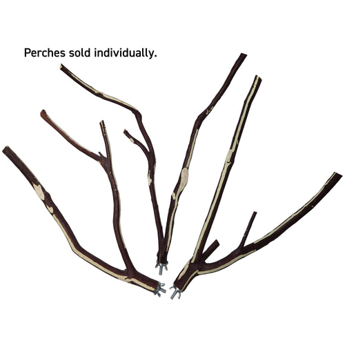 Manzanita Multi-Branch Wood Small Parrot Perch
