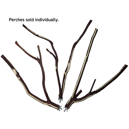 Manzanita Multi-Branch Wood Small Parrot Perch