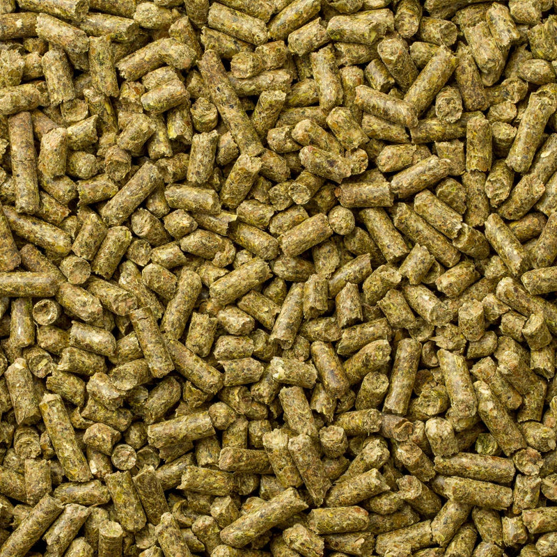 Mazuri Chinchilla Diet
